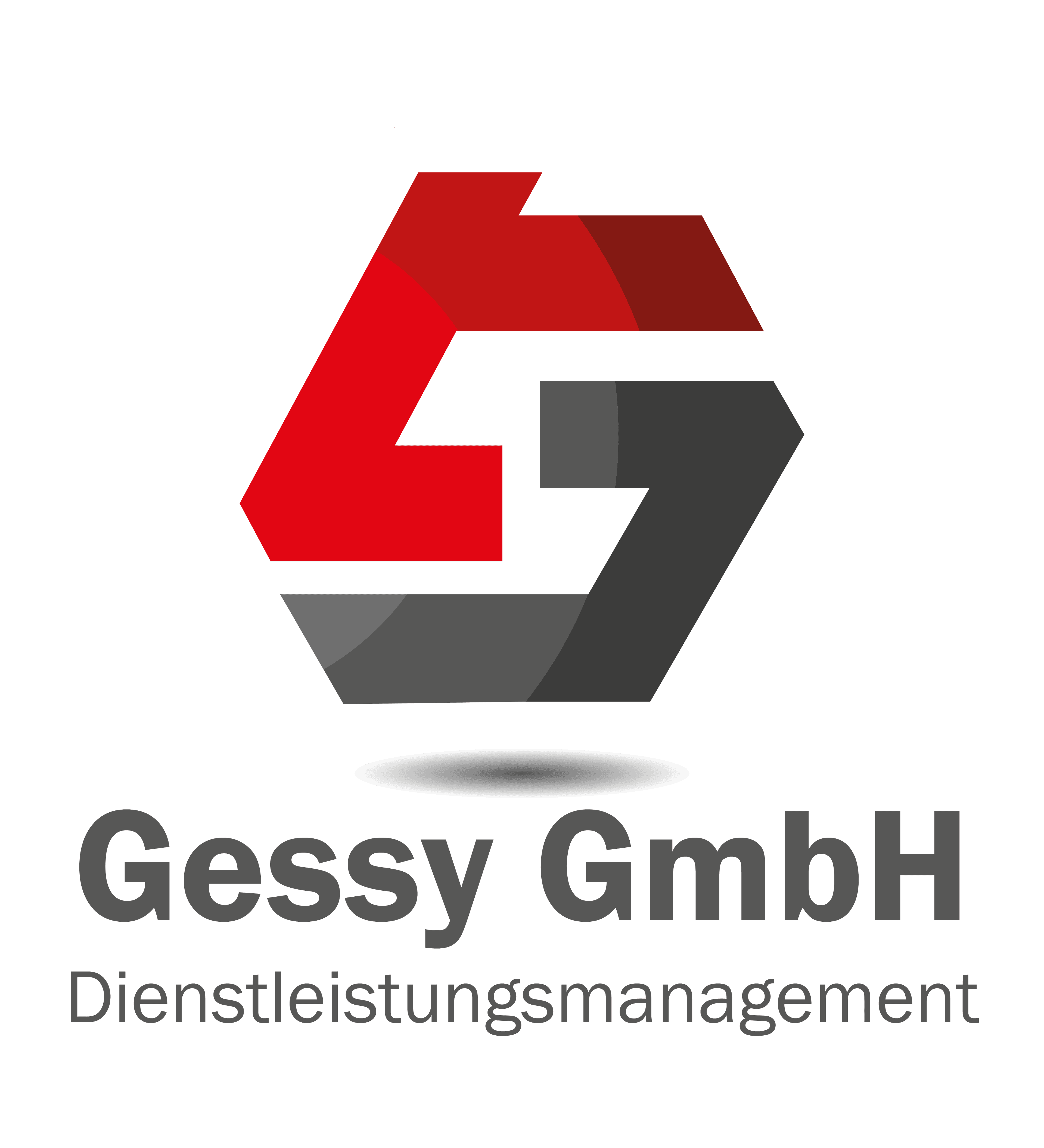 Gessy GmbH Logo